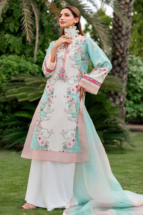 Picture of Rosey Wonderland