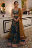 Picture of Deep Lake Lehnga Choli
