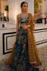 Picture of Deep Lake Lehnga Choli