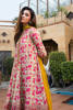 Picture of Fuchsia Fever