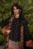 Picture of Black Spice
