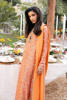Picture of Orange Garden