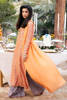 Picture of Orange Garden