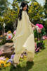 Picture of Butter Yellow