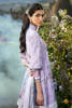 Picture of Lilac Rose