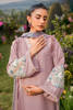 Picture of Dhalia