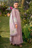 Picture of Dhalia