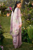 Picture of Dhalia