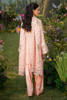 Picture of Peony Blush
