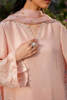 Picture of Peony Blush