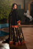 Picture of Black Spice